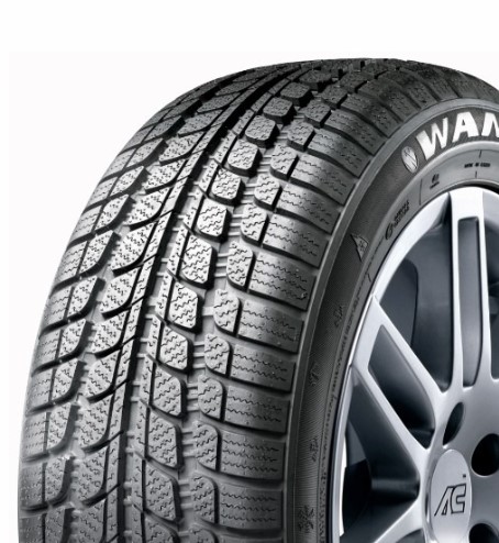 Anvelope Iarna (M+S) 205/45 R17 Aptany RW083