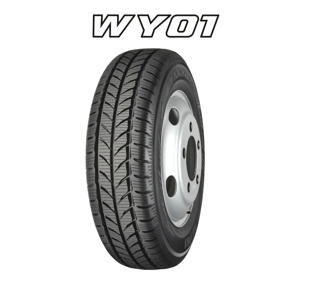 WY01